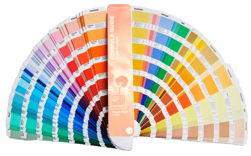 Escala Pantone edição especial